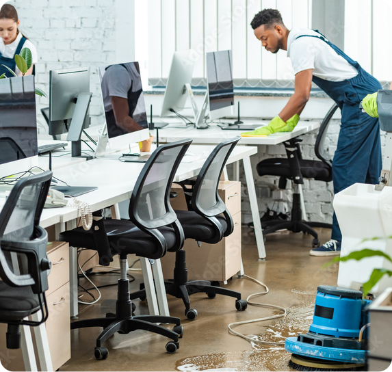 Professional cleaning services